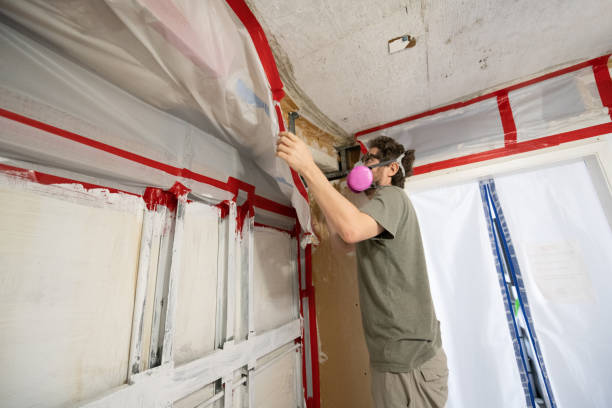 Best Mold Odor Removal Services  in Shasta, CA