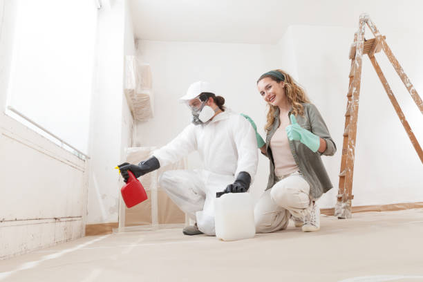 Best Air Quality Testing for Mold Spores  in Shasta, CA